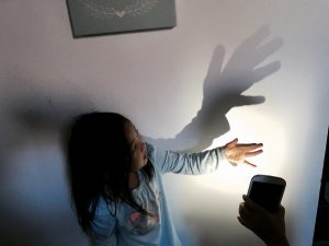 Magic School Bus shadow